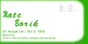 mate borik business card