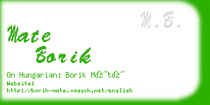 mate borik business card